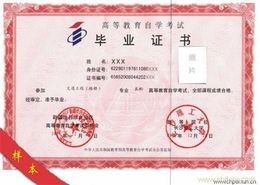 網(wǎng)絡(luò)教育前景廣闊，嘉渡教育咨詢上海ebdoor啟航發(fā)展新篇章